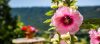 Discover Moustiers-Sainte-Marie