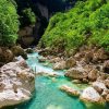 flore basses gorge verdon