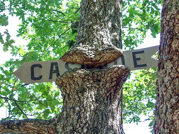 lieux touristiques sillans la cascade