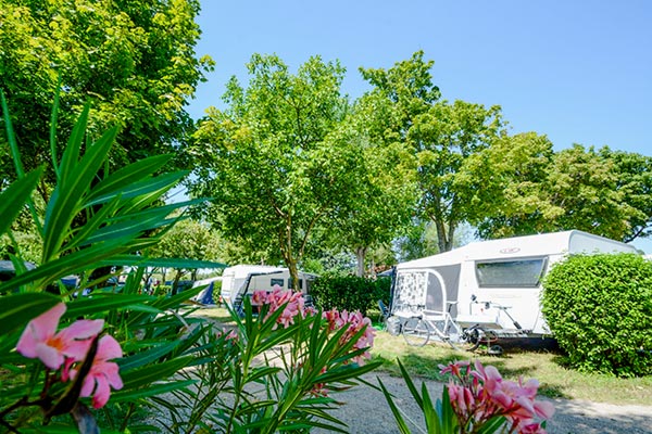 camping avec emplacements verdon