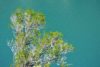 découvrir le lac du Castillon dans le Verdon