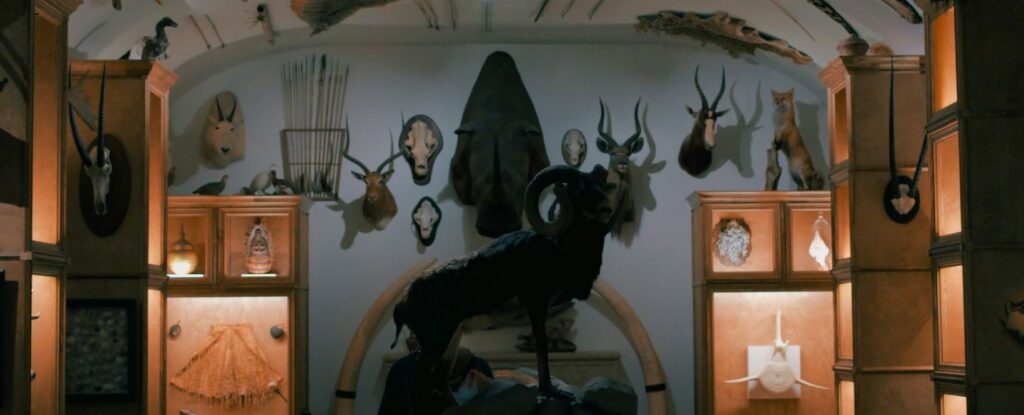 Musée de Préhistoire