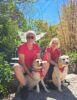 camping familial verdon