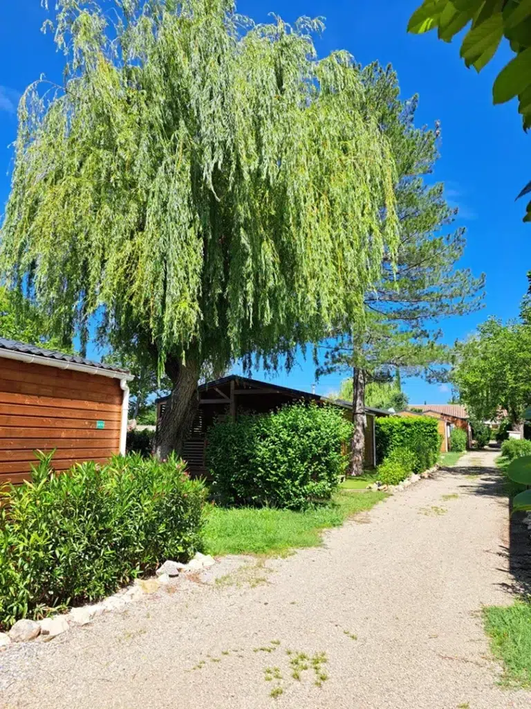 allee locations camping