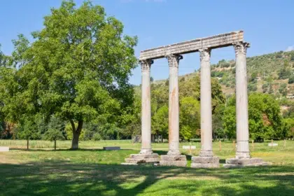 Riez 5 column riez