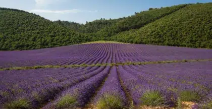 header greoux les bains