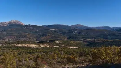 malmont