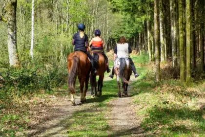 Balade à cheval Verdon 6 rando cheval