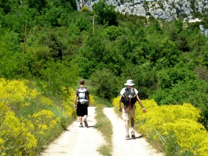 rando verdon e1778074792471