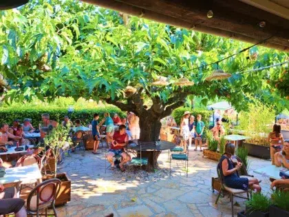 restaurant camping oasis verdon