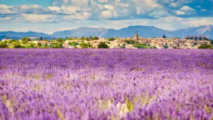 Moustiers-Sainte-Marie 16 valensole